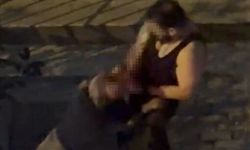 Ağızlıksız köpek sahibine acımadı! Hayvansever adamın çığlıkları mahalleyi inletti