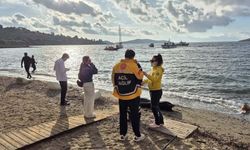 Sahile peş peşe 7 ceset vurdu! Dehşeti yaşayan vatandaşlar telefona sarıldı