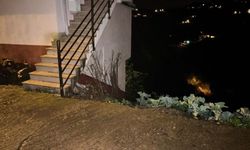Evde maskeli saldırgan paniği