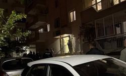 Kocalar önce eşlerini sonra kendilerini öldürdü