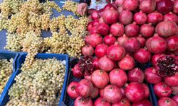 Aydın’da kışın en çok aranan meyveleri tezgahta