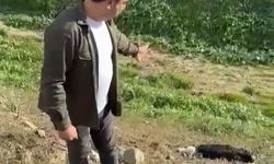 Çine’de halk sağlığını tehdit eden görüntü