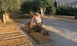Hem başkan hem üretici