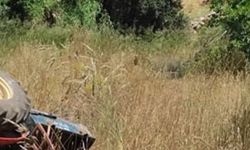Tarlada çalışırken can verdi! Yakınları acıya boğuldu