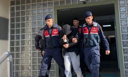 Aydın’da hasat başlamadan zeytin vurgunu! Hırsızlar jandarmaya yakayı ele verdi