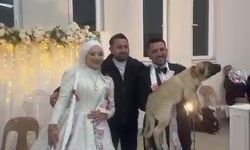 Takı töreninde salonu şaşkına çeviren hediye