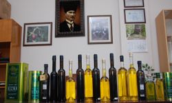 Aydın’da zeytinyağı fiyatları belli oldu