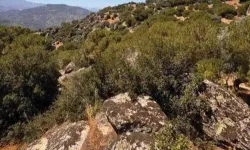 Aydın’daki o projede amaç uranyum mu?
