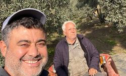 Başkan Ülgüdür zeytin hasadında