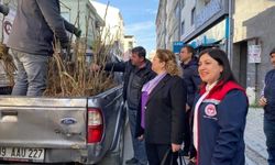 Germencik’te 4 bin fidan dağıtıldı