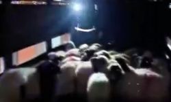 Küçükbaş hayvanların karın boşluklarından çıkanlar şaşkına çevirdi