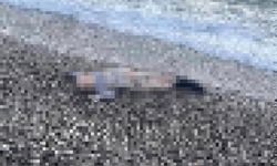 Sahil kenarında dehşet! 5-6 yaşındaki çocuk kıyıda ölü bulundu