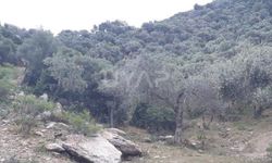 Aydın’da arsa almak isteyenlere müjde! Uygun fiyatlı arsa ihaleye çıkacak