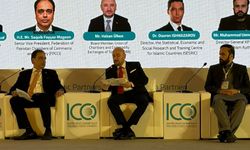 Ülken, Pakistan'da bir dizi toplantıya katıldı