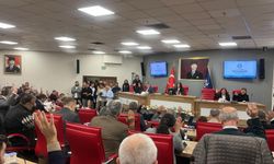 CHP Aydın'dan 'Ayşenur Ezgi Eygi' önergesi