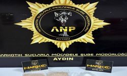 Aydın’da zehir deposu ortaya çıktı! 2 tutuklama