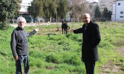 Aydın’da yürek burkan görüntü: Kaderlerine terk edildiler!