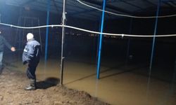 Koçarlı’da sular altında kalan damlardaki hayvanlar tahliye ediliyor
