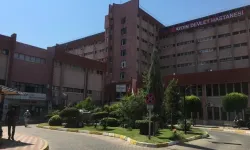 Aydın'da talihsiz kaza! Üzüm toplarken merdivenden düştü
