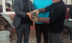 Germencik’te duyarlı müdahale: Cama çarpan baykuş kurtarıldı