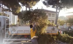 Muhtardan Başkan Çerçioğlu’na hizmet teşekkürü