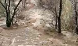 Köprüova’da taşma riski! Bazı bölgelerde ağaçlar su altında kaldı