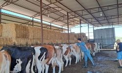 Nazilli'ye müjde: 20 mahallede kısıtlama kaldırıldı