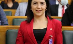 Aydın Büyükşehir Belediyesi çalışanı Özyeğin’den çarpıcı açıklamalar: Mobbinge maruz kaldığını iddia etti