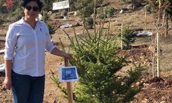 Oğlunun mezarı başında kalp krizi geçiren anne kurtarılamadı