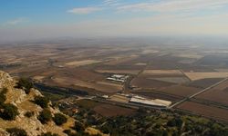 Aydın’da yaban hayvanlarına mezar olan yolda bir kaza daha