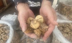 Aydın’daki bayram yolcularının tercihi incir oldu