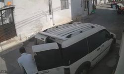 Aydın'daki zeytinyağı üreticileri dikkat! Emeğiniz bir anda çöp olabilir