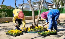 Didim Belediyesi’nin çalışmaları ile ilçedeki parklar daha güzel ve daha yeşil