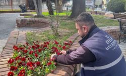 Efeler’de yeşil dönüşüm: Gül Esin Parkı yeni yüzüyle ışıldıyor
