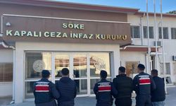 Aydın’da jandarmadan göçmen kaçakçılığına darbe! 16 düzensiz göçmen yakalandı