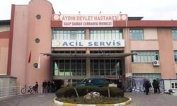 55 taşınmaz özelleştirme kapsamına alındı: Listede Aydın'daki 2 arazi var