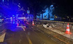 Aydın’da asırlık ağaç fırtınaya dayanamadı!