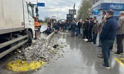 Aydın'da feci kaza: 1 ölü! Yaya olay yerinde hayatını kaybetti