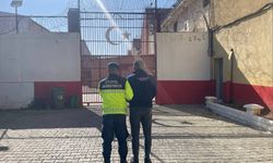 Aydın’da otoyolda düzensiz göçmen operasyonu! 1 tutuklama