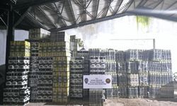 Aydın’da sahte zeytinyağı operasyonu! 1,5 milyonluk malzeme ele geçirildi