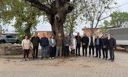 Aydın’daki anıt ağaçlara koruma kalkanı