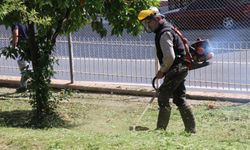 Bozdoğan’da bahar temizliği: Başkan Özel’den estetik ve düzen vurgusu
