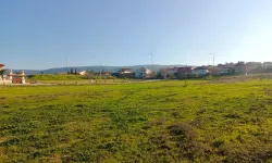 Aydın'da tapu sahiplerini ilgilendiren karar geldi!