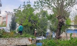 Efeler’in sokakları daha düzenli: Üç mahallede kapsamlı temizlik yapıldı