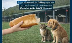 Germencik'te örnek davranış: Bayat ekmekler hayvanlara mama oluyor
