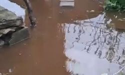 Koçarlı’da yaşlı kadının evine su bastı! Yardım isteyen yaşlı kadının imdadına büyükşehir koştu