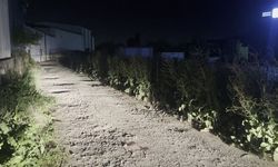Korkunç olayda ağır yaralanan genç avukat kurtarılamadı