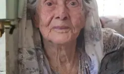 Nazilli asırlık çınara ağladı: Erçerman hayatını kaybetti