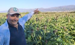 Nazilli’de bir ilk yaşandı! Muhtar ekti topraktan şifa fışkırdı