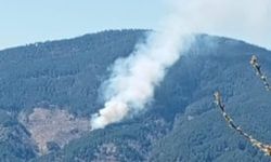 Nazilli’den rahatlatan haber geldi! Orman yangını kontrol altında